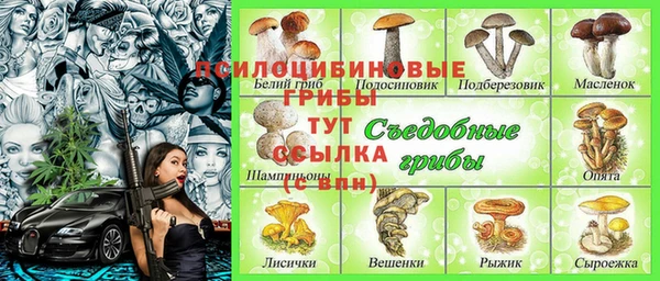 spice Куйбышев