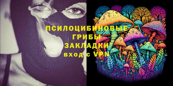 spice Куйбышев